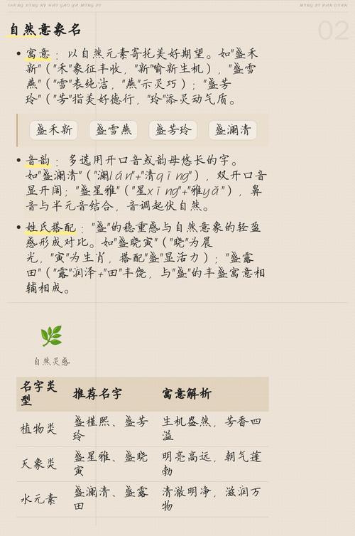 盛姓大气文雅的女宝宝名字叫什么？有没有什么寓意美好的名字推荐？