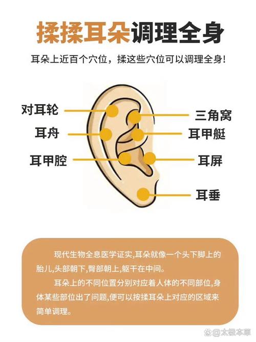 耳垂向下延伸至何处，其命理含义又是什么？