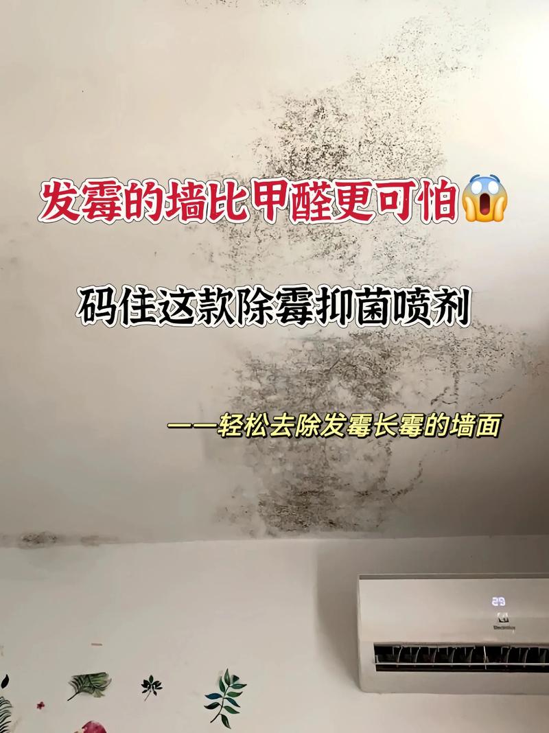 卧室墙面发霉会对家居风水产生什么影响？