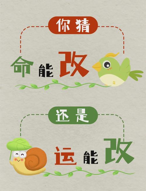 什么样的八字命理特征的人具有命运的潜力？