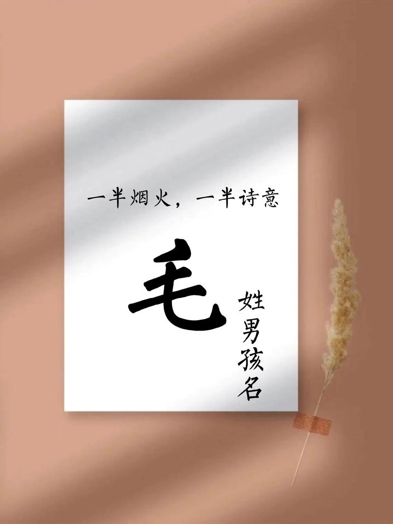 毛姓男孩名字有哪些新颖独特的选择？