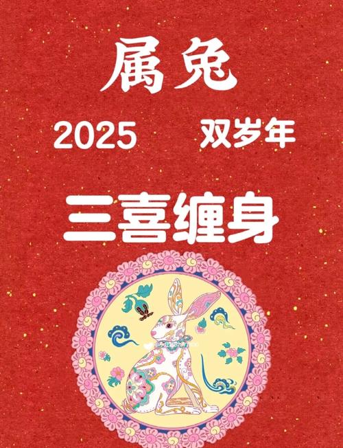 哪个生肖兔的年份财运最为旺盛？