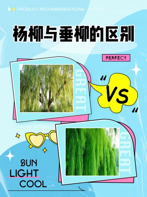 杨柳命与松柏命有何不同？杨柳木命属几等命？