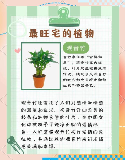 家庭盆栽的风水讲究有哪些注意事项？