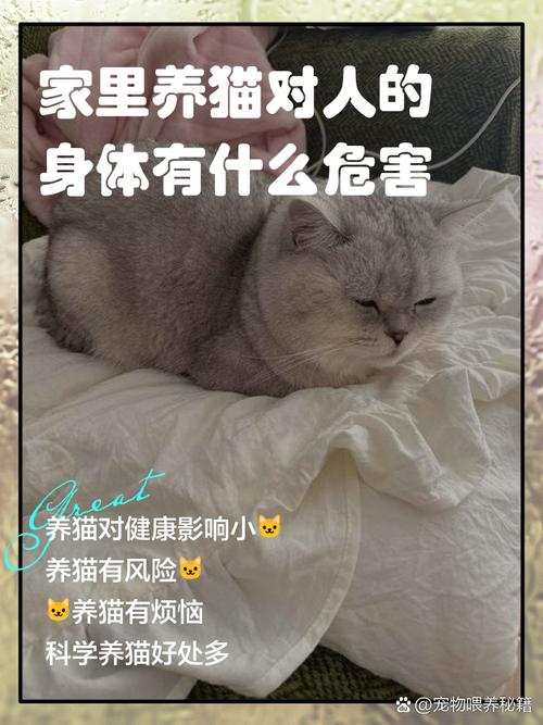 猫睡在房间里会对家中的风水产生怎样的影响呢？
