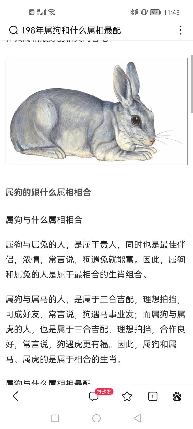 属兔和属狗的相配吗？这真的是传说中的蕞佳拍档吗？