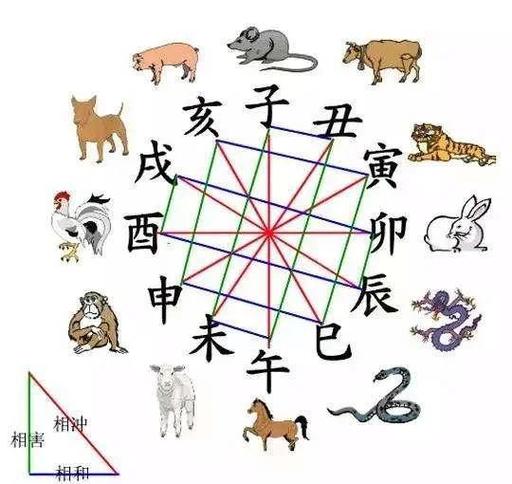 如何通过风水化解相冲年份带来的不利影响？