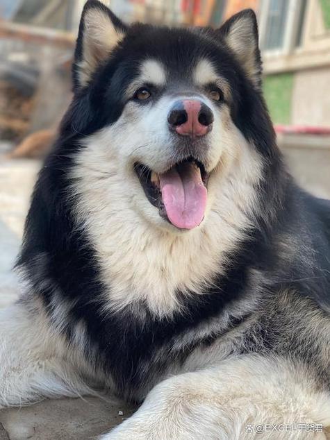 偷鸡摸狗的人命运如何，是否注定一生坎坷？