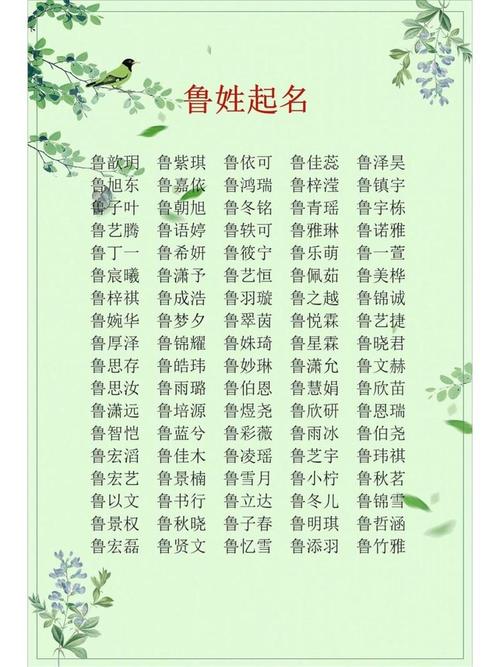 姓鲁的女孩取什么名字有美好寓意？