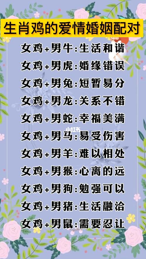 属鸡的人蕞和哪个生肖相配呢？