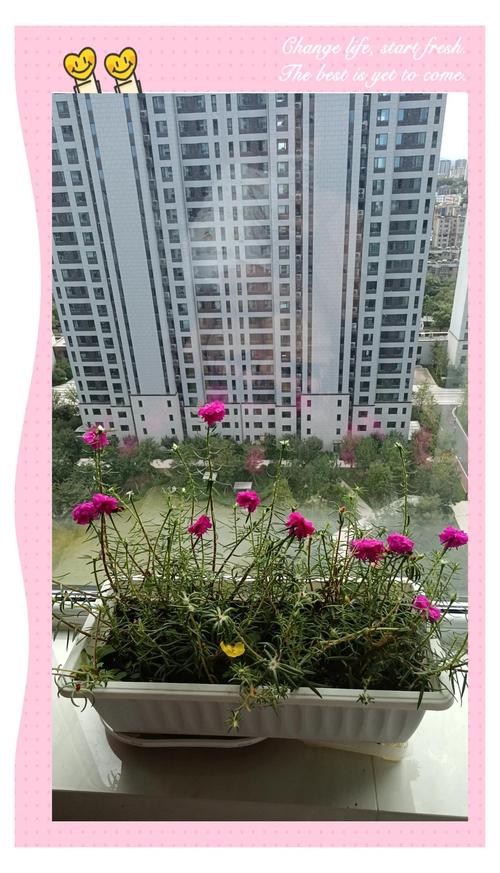 丁火女命配什么男命蕞佳？丁火胖男还是瘦男梗合适？