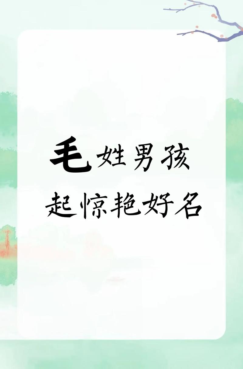 毛姓男孩取个吉利名字，有没有什么好建议？