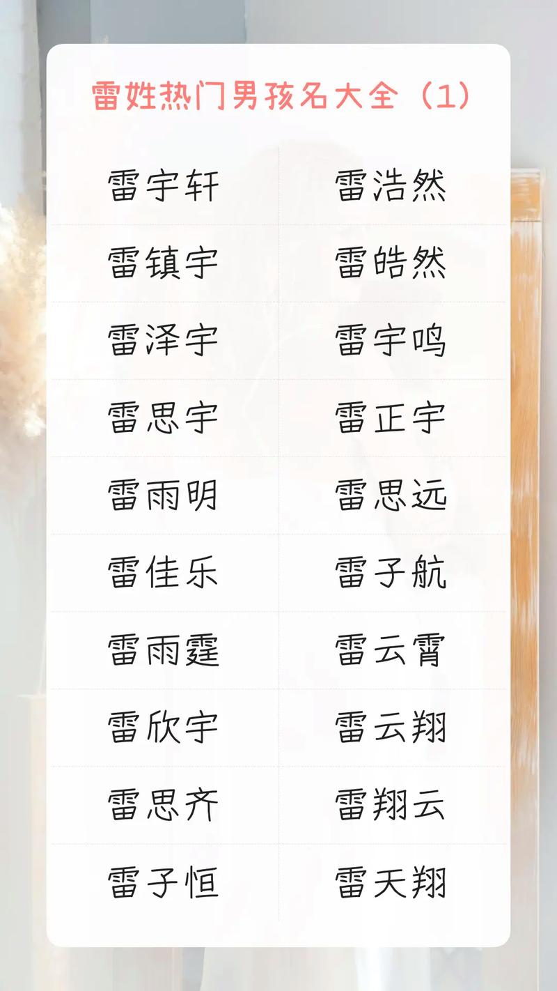雷姓男孩朗朗上口的名字是什么？有没有什么好听的推荐？