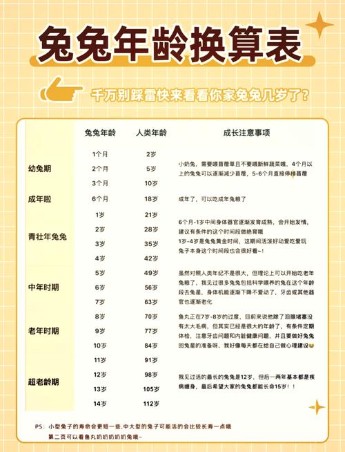 兔年25岁和51年的兔分别是什么命？