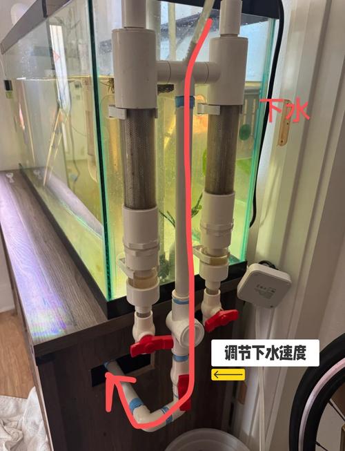 在厕所养鱼对家居风水是否有益处？