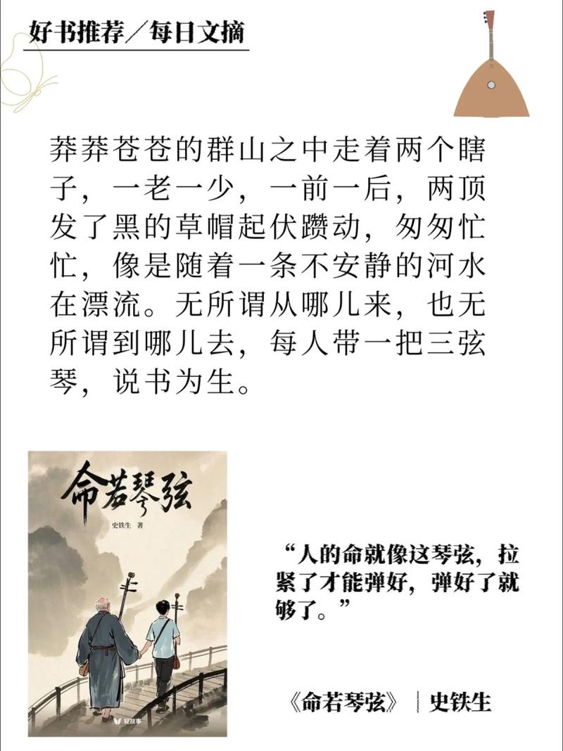 命若琴弦中的命指的是什么，其含义与琴弦有何关联？