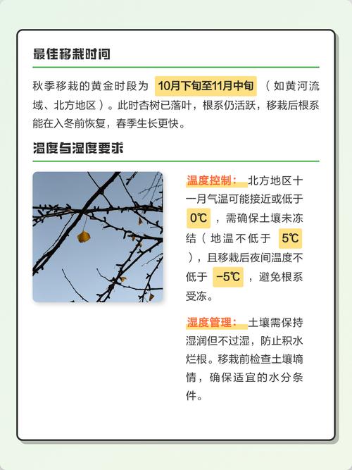 2025年11月4日这天适合栽树吗，是栽树的好日子吗？
