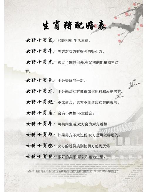 属猪和属猪的在一起会相配吗？这是否是最佳的生肖配对呢？