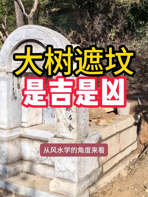 墓地种树对风水有影响吗？