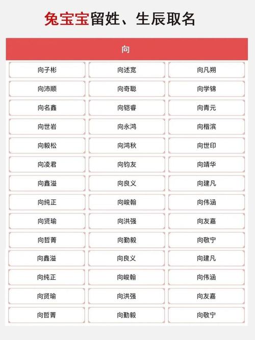 向字取名寓意男孩，有哪些美好的象征和含义？