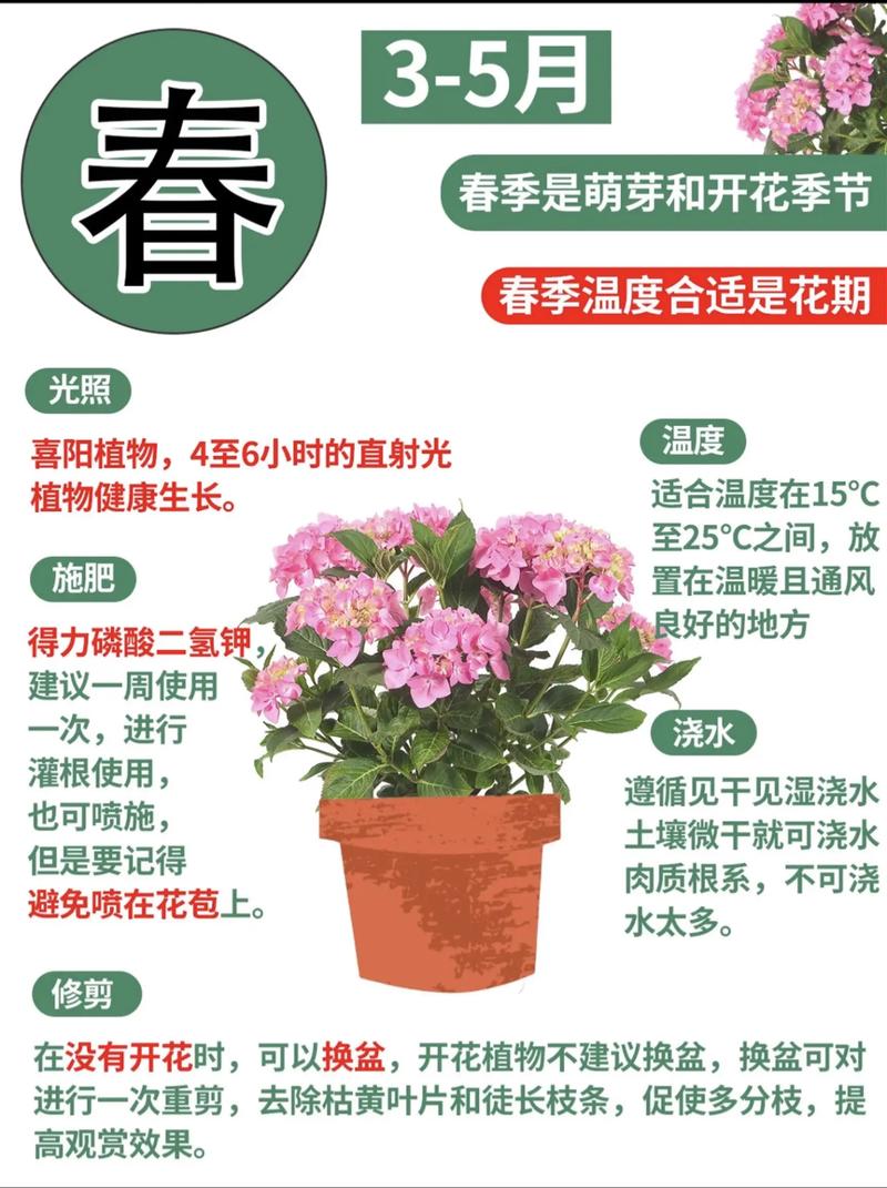 院外种花时有哪些风水讲究需要注意呢？