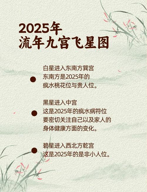 女命八字身弱无财星，如何调整布局以增强财运？