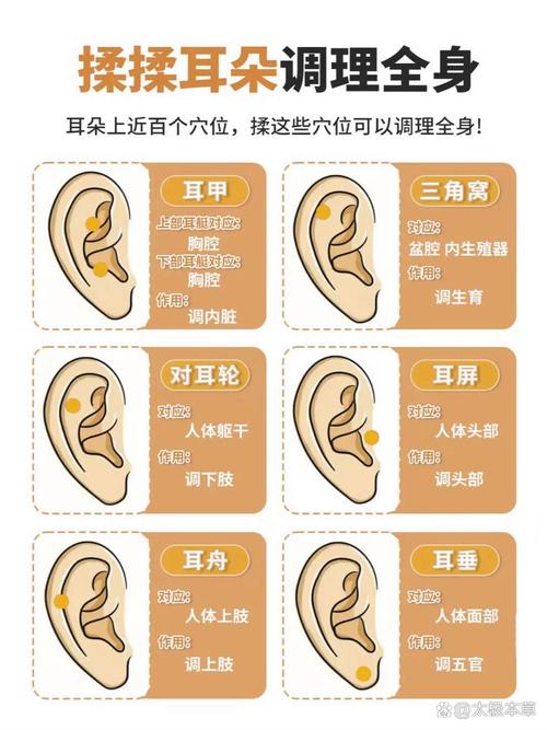 耳垂向下延伸至何处，其命理含义又是什么？