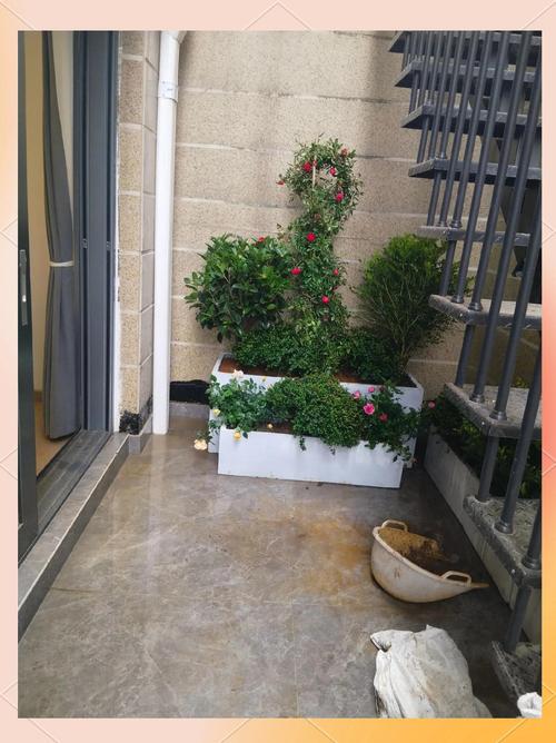 院子摆放花盆对风水有影响吗？