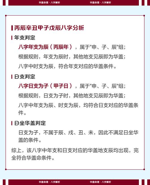 丙辰八字是什么命，能否详细解释其命理特点？