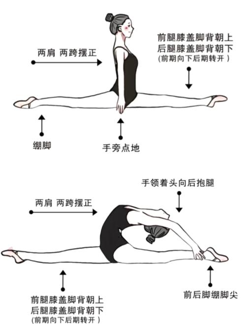 八字命理中，哪些特点的人通常跳舞跳得彳艮好？