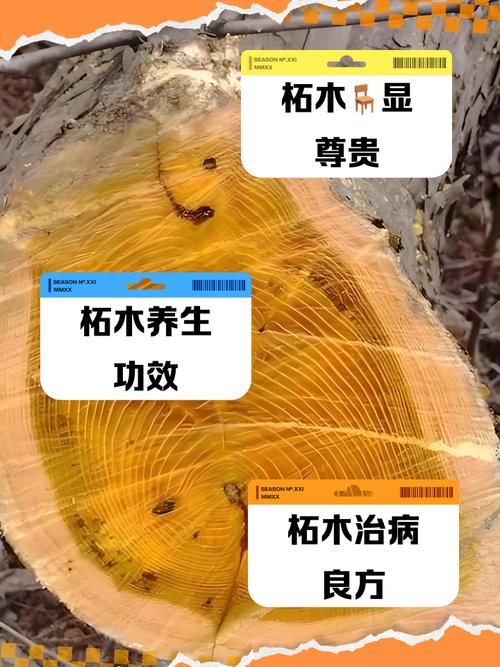 什么命可以拯救桑柘木命，桑松木命能否改命？