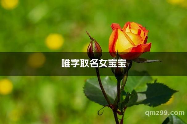 唯字女孩名字的寓意是什么？如何用唯字为女孩取一个富有寓意的名字？
