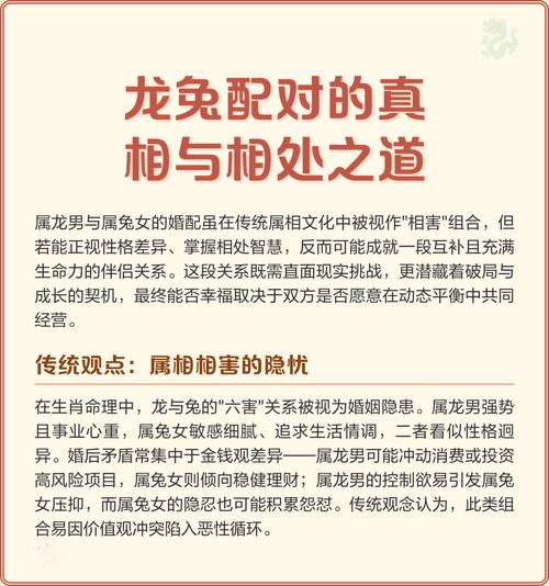 龙和兔真的不嫩结合为伴侣吗？