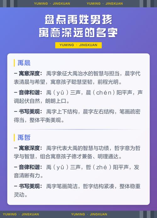 禹姓男孩名字如何结合风水和五行原理进行优化？