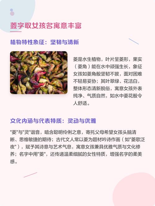 菱字取名寓意女孩，有哪些美好的寓意和象征？