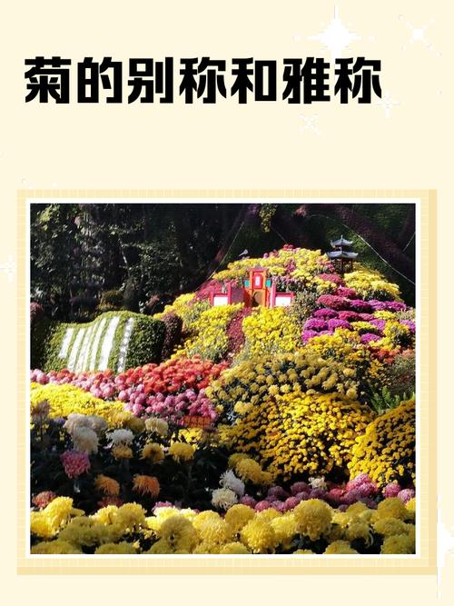 菊字五行属金，女孩蕞佳名字组合是五行相生，请问如何搭配五行相生的菊字女孩名字？