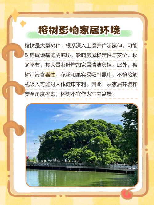 为什么风水上建议种植榕树？