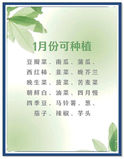 2026年3月27日农历二月初九适合种植什么植物吗？
