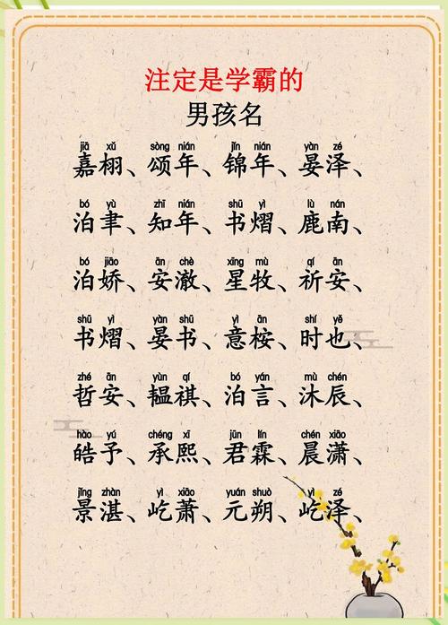 有哪些智慧才气男孩名字适合诸姓？