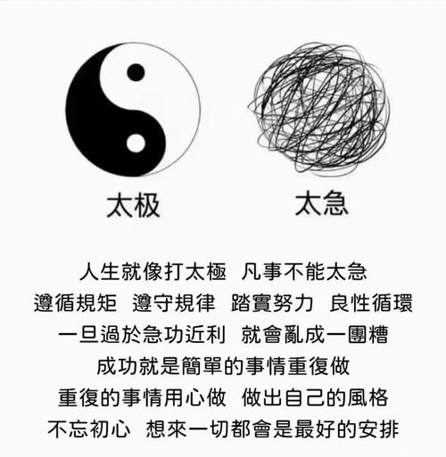 我的八字中带有天乙太极，这是否意味着我的人生将充满好运和智慧？