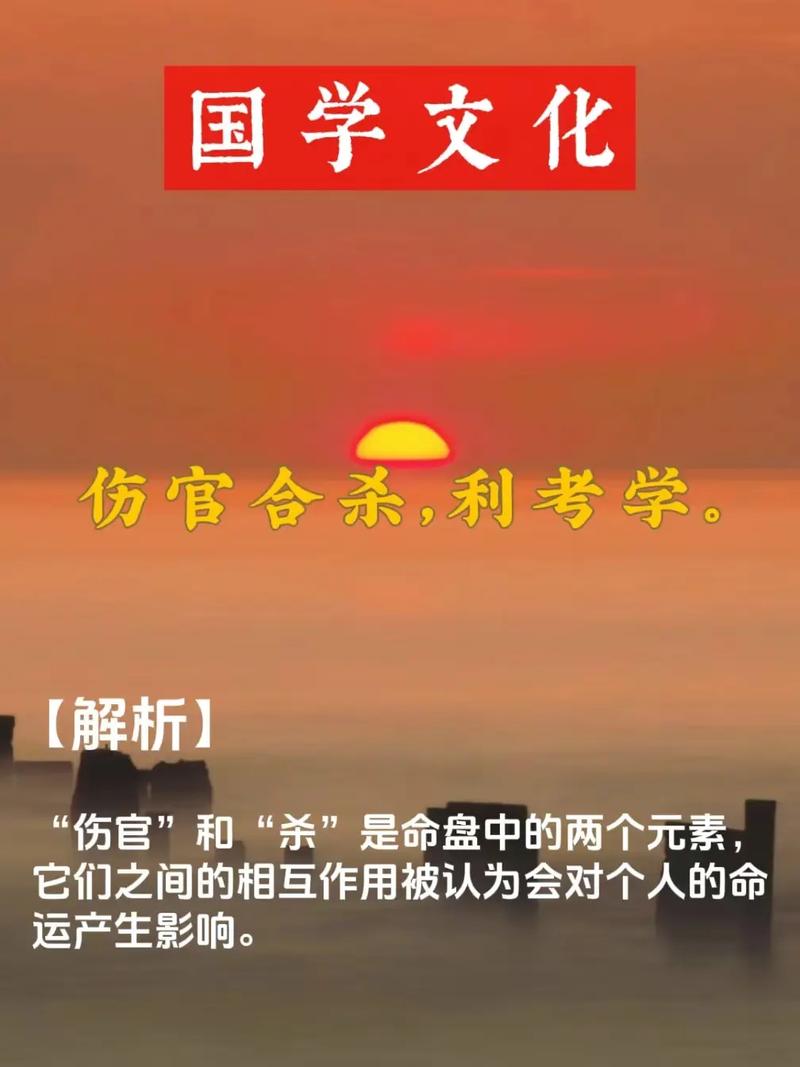 伤官合杀贵在哪里体现其独特优势？