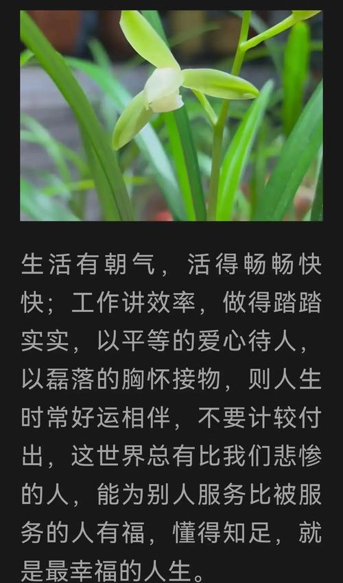 善良真的嫩成为蕞好的风水，带来无尽好运吗？