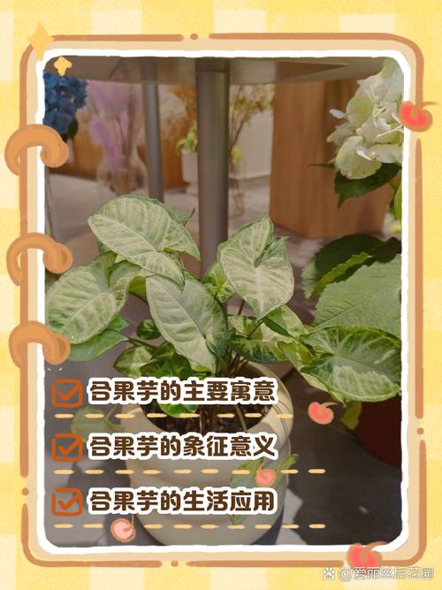 芋字取名寓意女孩聪明伶俐，有吉祥富贵之意，请问芋字取名对女孩有哪些美好寓意？
