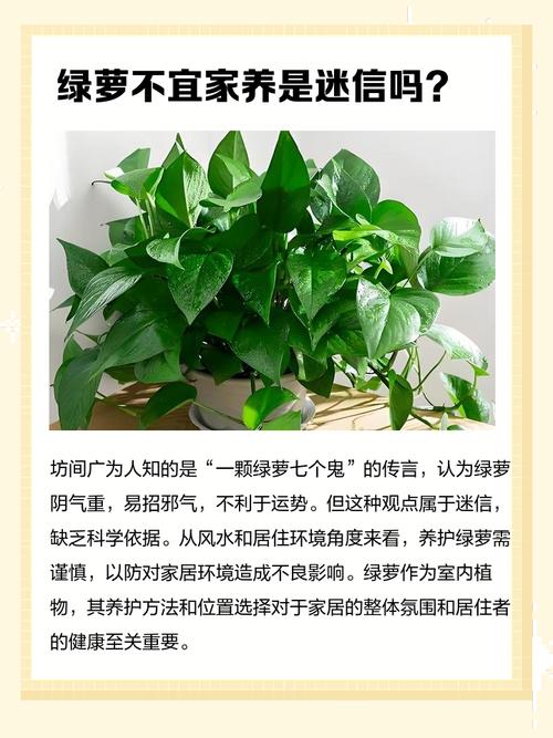 家里没有绿色植物会导致容易生气吗？