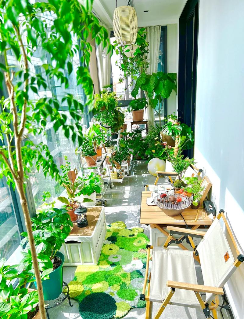 家庭楼顶可以种植哪些植物来改善风水？