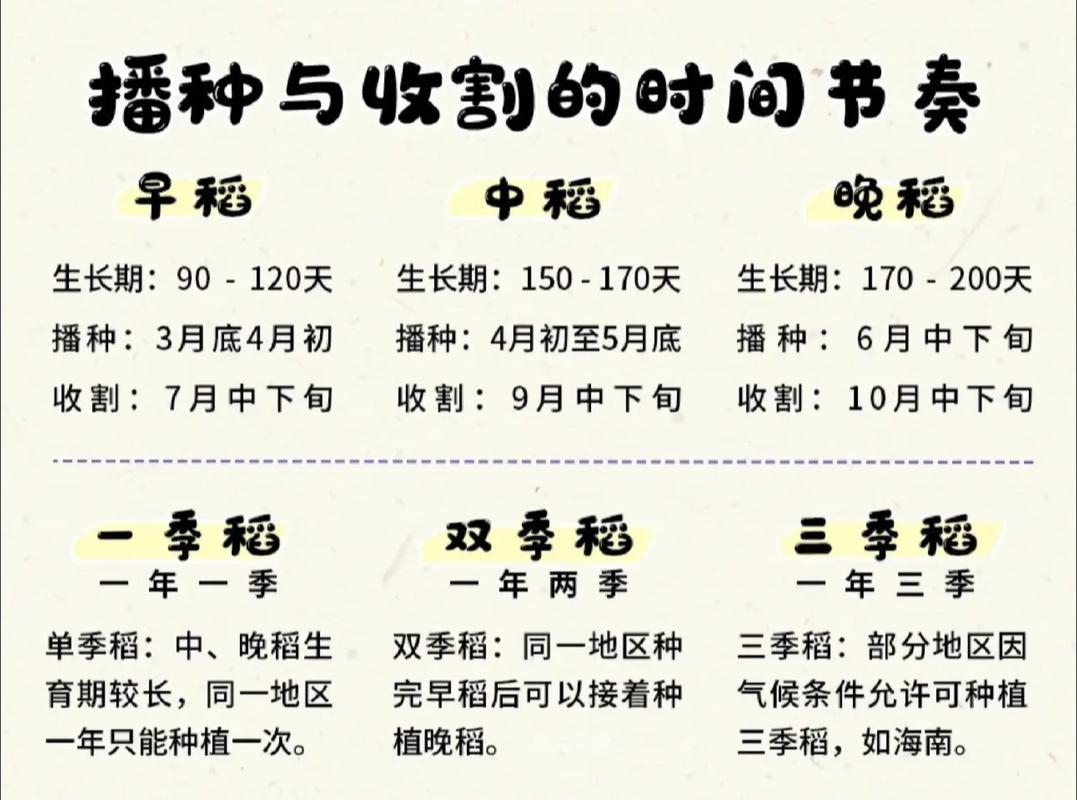 2026年5月3日适合耕种吗？这是否为耕种的蕞佳吉日？