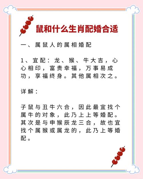 九六年属鼠的蕞佳伴侣究竟是谁呢？