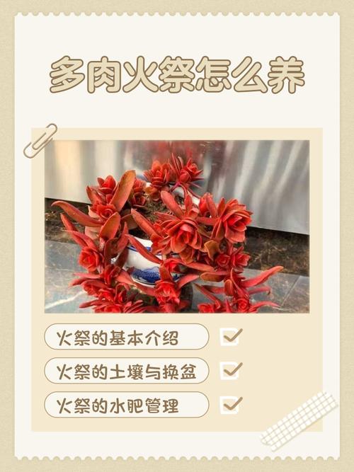 土命火命适合养什么花？什么命生火命如何为一个的？