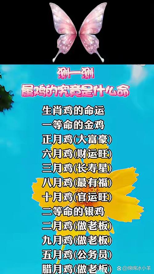 2017年属鸡是什么命，2016年不是鸡年吗？