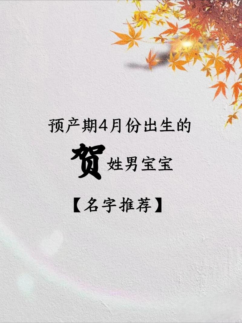 贺姓智慧才气男孩取什么名字好？